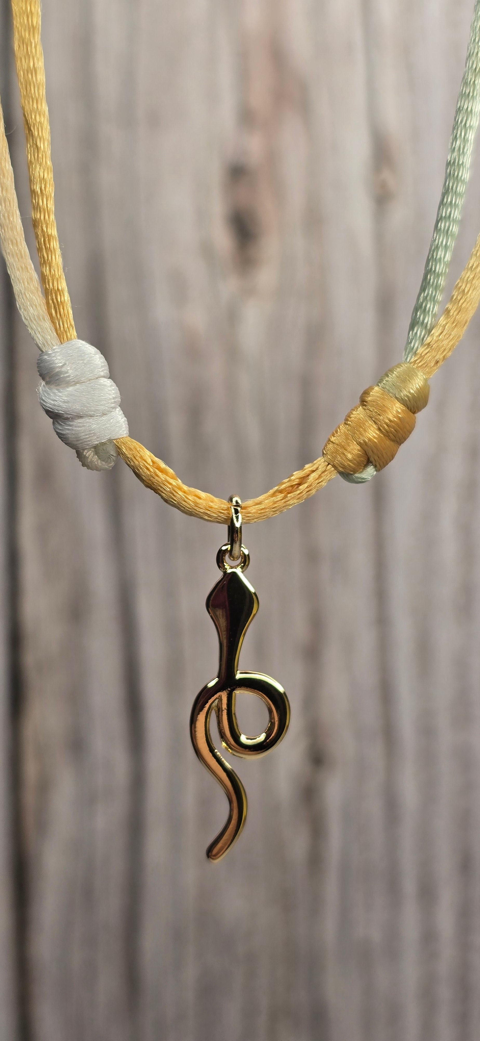 Serpent Icon Adjustable Necklace
